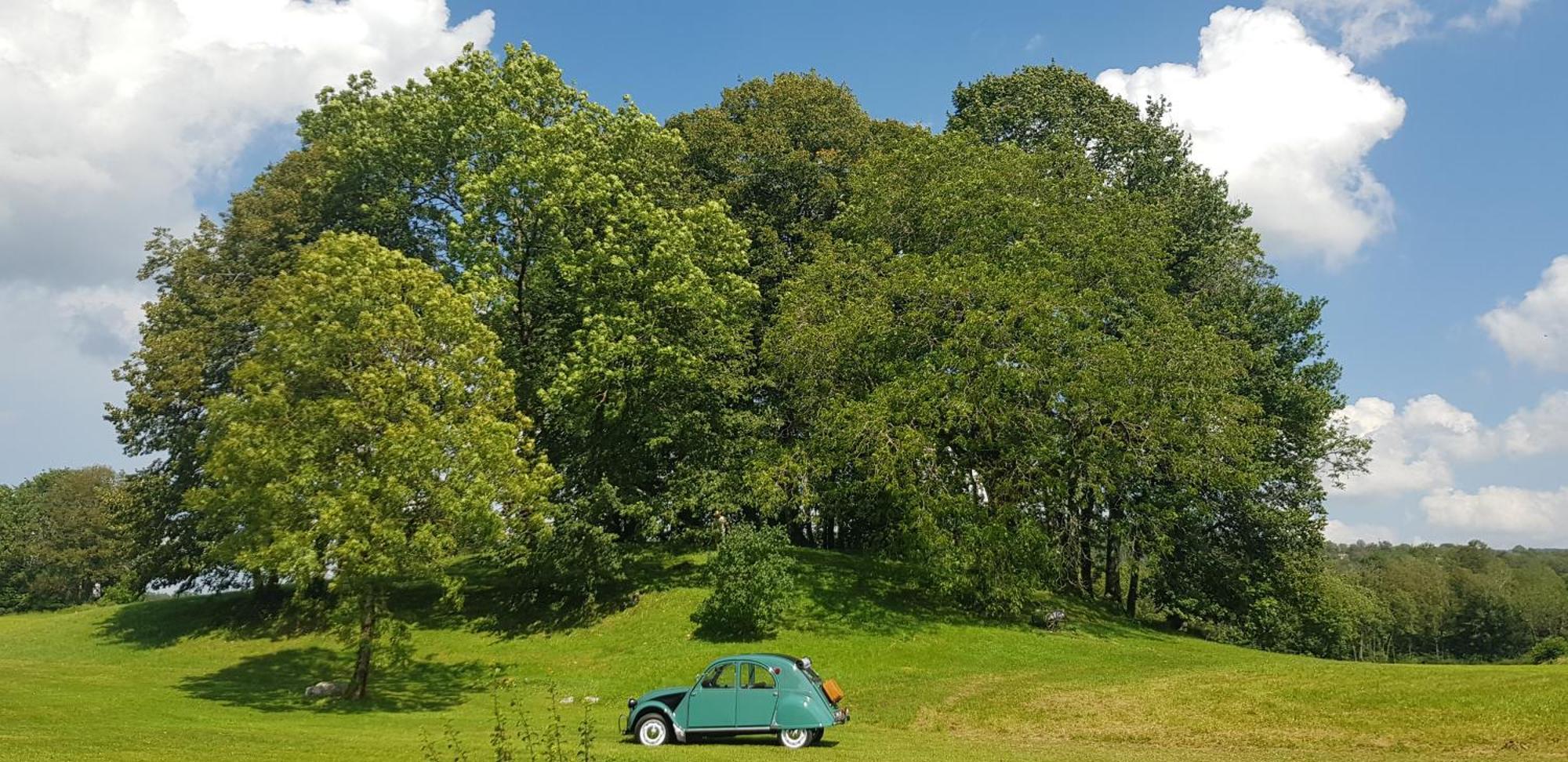 Grimont Gite Au Calme Grand Terrain Circuit Cascades Du Herisson Saugeot Dış mekan fotoğraf